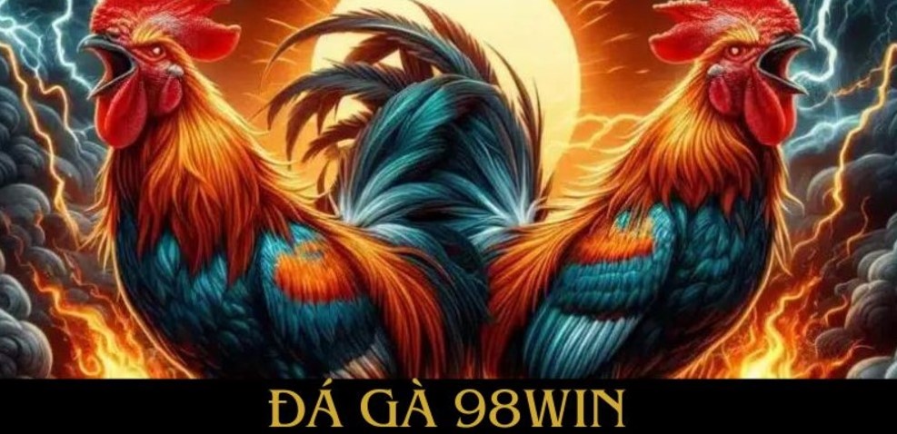 Cách tham gia cá cược đá gà 98win